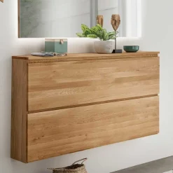 Wohnen Schränke<24 cm tiefer Wand Schuhschrank mit zwei Klappen - Sotunes