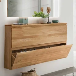 Wohnen Schränke<24 cm tiefer Wand Schuhschrank mit zwei Klappen - Sotunes