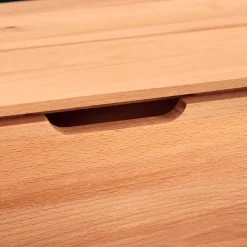 Wohnen Tv & Hifi-Möbel|Lowboards<40cm hohes Lowboard in Kernbuche - Junola