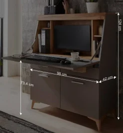 Wohnen Highboards<Design Sekretär in Grau & Eiche NB - Zella
