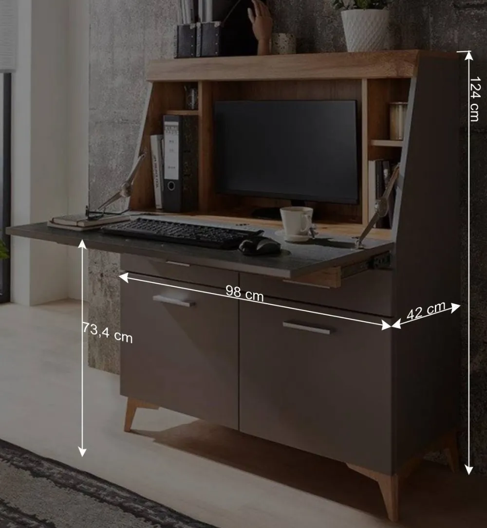 Wohnen Highboards<Design Sekretär in Grau & Eiche NB - Zella