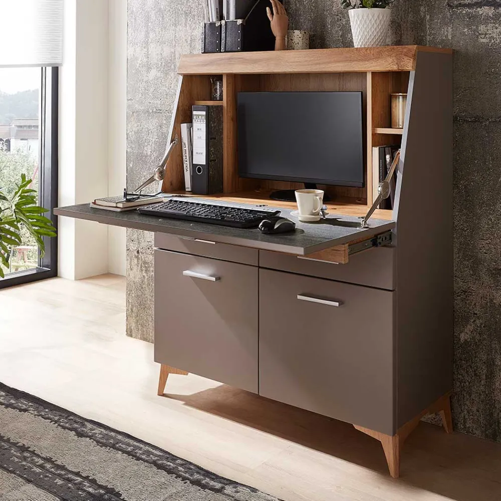 Wohnen Highboards<Design Sekretär in Grau & Eiche NB - Zella