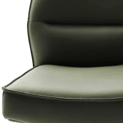Wohnen Stühle<Drehbare Lederstühle in Oliv Grün - Diziana (2er Set)