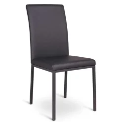 Wohnen Stühle<Esstischstuhl Jaletto in Grau (2er Set)