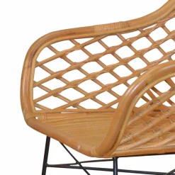 Wohnen Stühle<Esszimmerstuhl Ionella aus Rattan