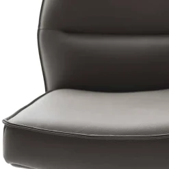 Wohnen Stühle<Federkern-Polsterstuhl aus Echtleder - Tamega (2er Set)