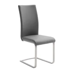 Wohnen Sessel|Stühle<Freischwinger in Kunstleder Grau Ramia mit Edelstahl (4er Set)