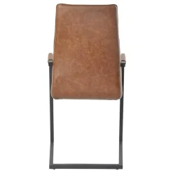 Wohnen Sessel<Freischwinger mit Armlehnen in Hellbraun - Dania (2er Set)