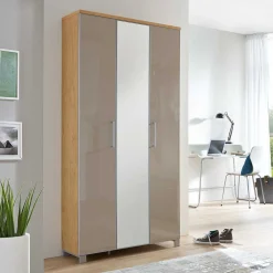 Wohnen Garderoben<Garderobenmöbel Set Diecca in Taupe Glas beschichtet (fünfteilig)