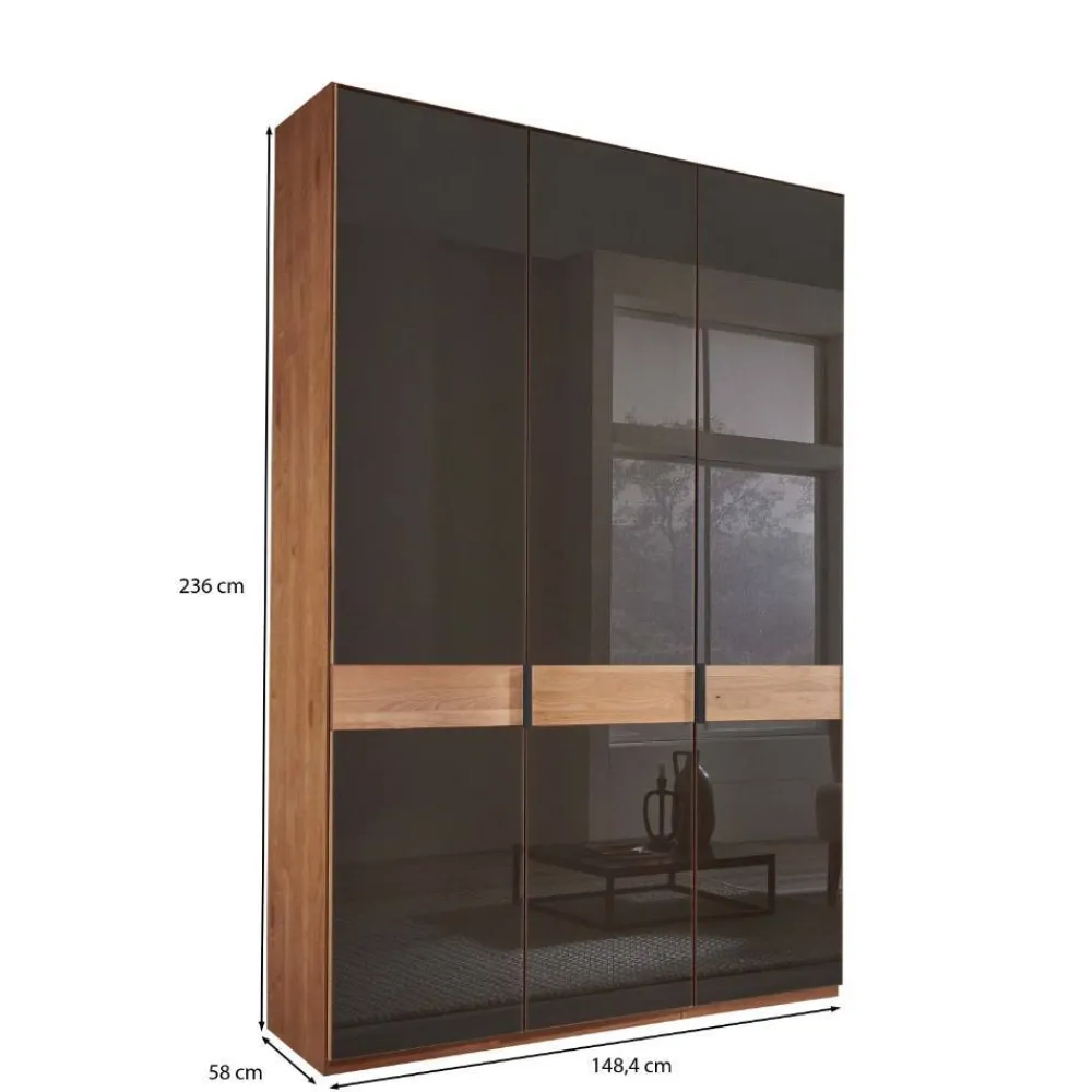 Wohnen Kleiderschränke|Schränke<Glasfront-Schlafzimmerschrank in Dunkelbraun - Hung
