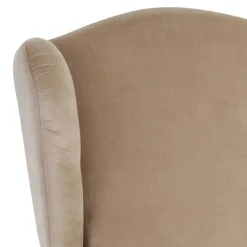 Wohnen Sessel<Landhaus Ohrensessel in Beige und Buche - Passe