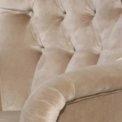 Wohnen Sessel<Ohrenbackensessel in Beige - Blacer