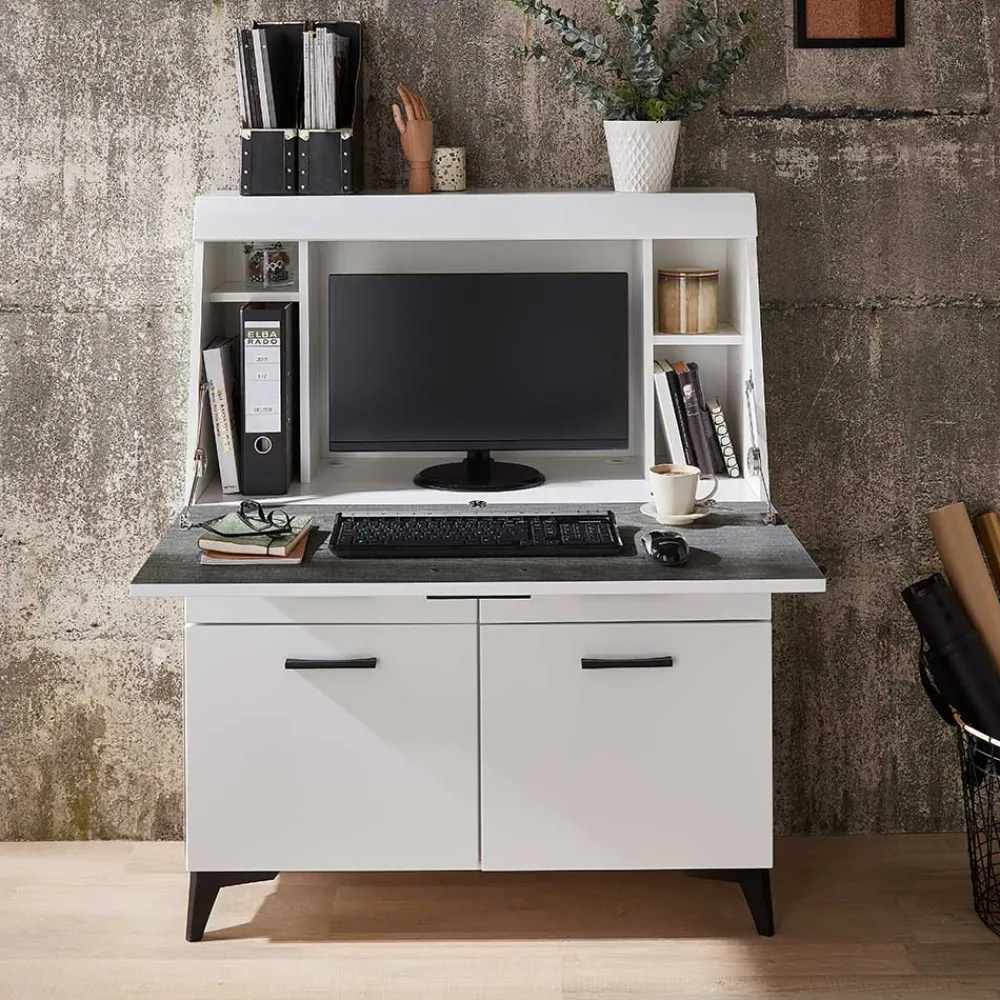 Wohnen Highboards|Tische<Schreibschrank mit Klappe & zwei Türen - Quakes