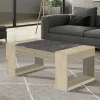 Wohnen Tische<Stauraum Couchtisch mit Tischplatte zum Hochklappen - Pazionan