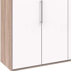 Wohnen Kleiderschränke|Schränke<3-türiger Kleiderschrank mit Falttüren - Vaclyn