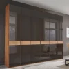 Wohnen Kleiderschränke|Schränke<6-türiger Schrank mit Glas Dunkelbraun - Hung