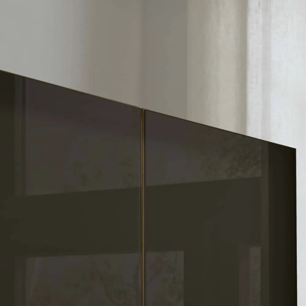 Wohnen Kleiderschränke|Schränke<6-türiger Schrank mit Glas Dunkelbraun - Hung