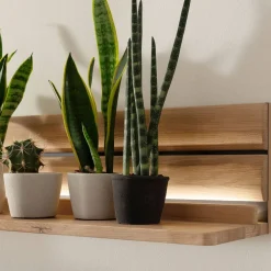 Wohnen Regale<Wohnzimmer Wandboard aus hellem Massivholz - Azzurian