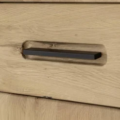 Wohnen Vitrinen<Wohnzimmerschrank in Asteiche Hell - Jevedaz
