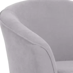 Wohnen Sessel<Wohnzimmersessel aus Velours Silbergrau - Bekunion