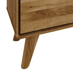 Wohnen Tv & Hifi-Möbel|Lowboards<120x48x40 cm Wildeiche TV Element mit Tür - Eavy