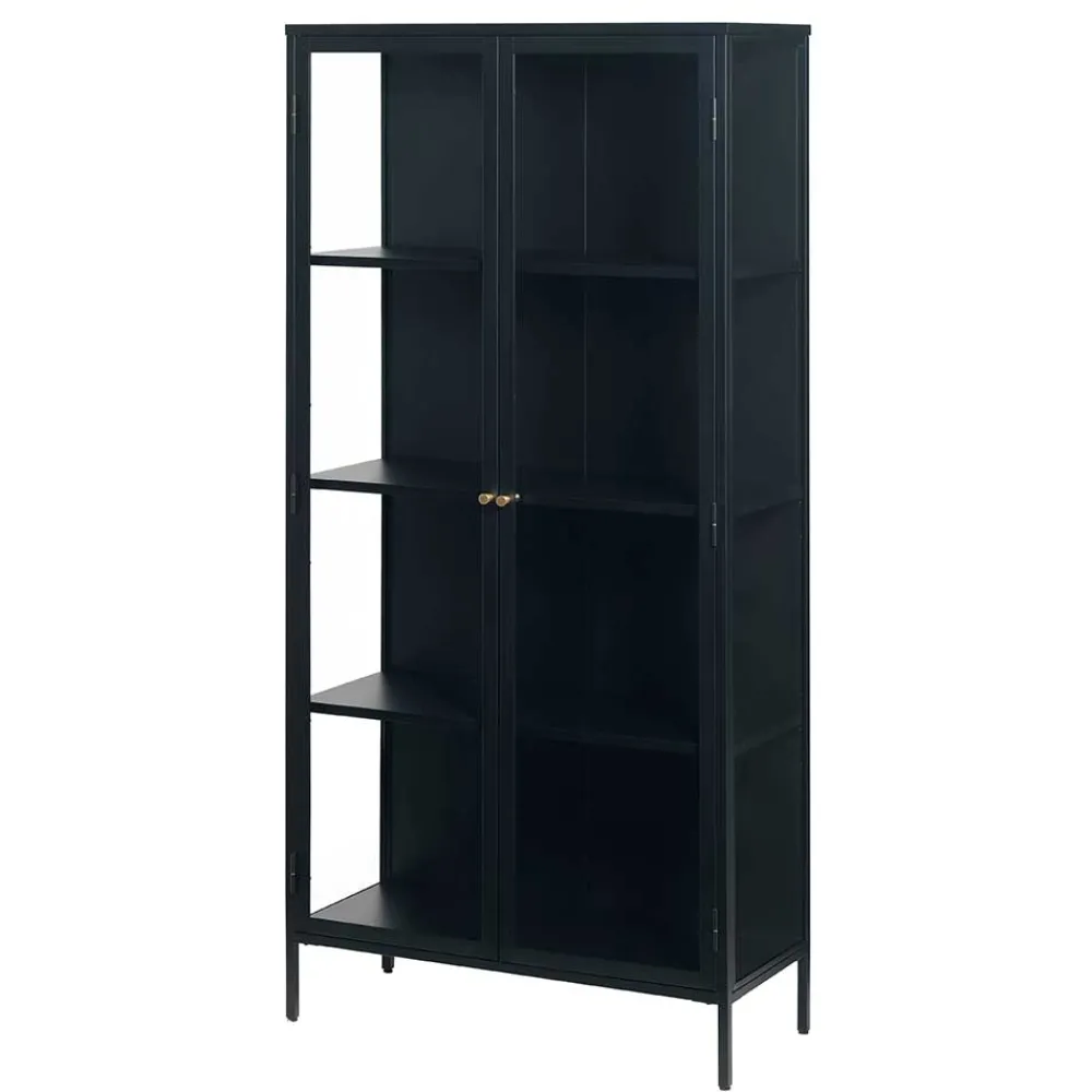 Wohnen Vitrinen<90x190x40 Doppeltür Vitrine aus Metall - Butoaie