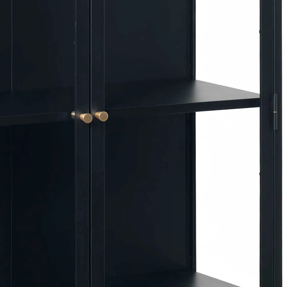 Wohnen Vitrinen<90x190x40 Doppeltür Vitrine aus Metall - Butoaie